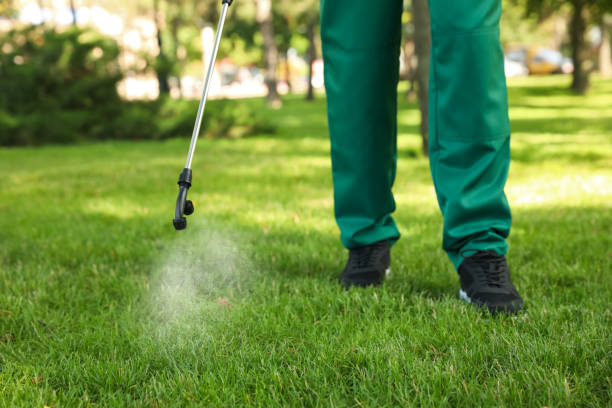 Best Wasp Removal Services  in Covedale, OH