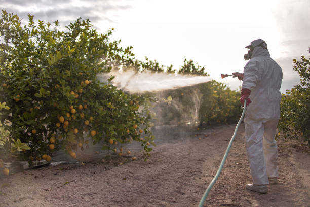 Best Emergency Pest Control  in Covedale, OH