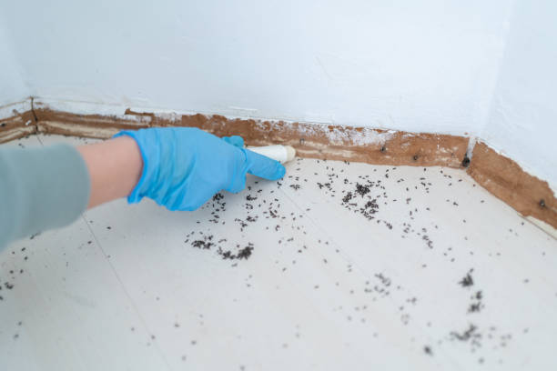Pest Control for Restaurants in Covedale, OH